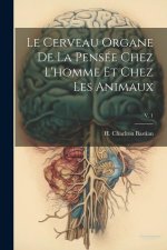 Le cerveau organe de la pensée chez l'homme et chez les animaux; v. 1
