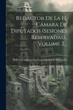 Redactor De La H. Cámara De Diputados (sesiones Reservadas)., Volume 2...