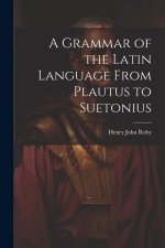 A Grammar of the Latin Language From Plautus to Suetonius