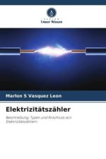 Elektrizitätszähler