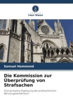 Die Kommission zur Überprüfung von Strafsachen