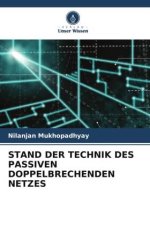STAND DER TECHNIK DES PASSIVEN DOPPELBRECHENDEN NETZES