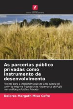 As parcerias público privadas como instrumento de desenvolvimento