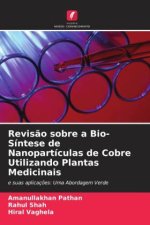 Revis?o sobre a Bio-Síntese de Nanopartículas de Cobre Utilizando Plantas Medicinais