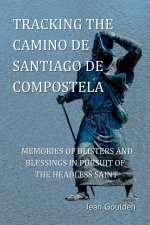 Tracking the Camino de Santiago de Compostelo