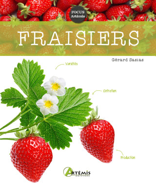 Fraisiers