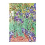 VAN GOGHS IRISES SKETCHBK