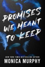 PROMISES WE MEANT TO KEEP