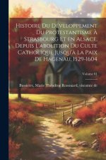 Histoire du développement du protestantisme ? Strasbourg et en Alsace, depuis l'abolition du culte catholique jusqu'? la paix de Hagenau, 1529-1604; V