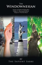 The Windownesian: Ch 10-12
