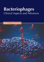 Bacteriophages: Clinical Aspects and Advances