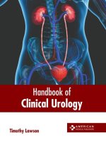 Handbook of Clinical Urology