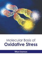 Molecular Basis of Oxidative Stress