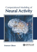 Computational Modeling of Neural Activity