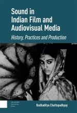 Sound in Indian Film and Audiovisual Media – History, Practices and Production