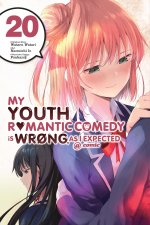 MY YOUTH ROMANTIC COMEDY IS WRONG V20