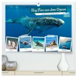 Big Five aus dem Ozean Hai, Delphin, Wal, Robbe, Pinguin (hochwertiger Premium Wandkalender 2024 DIN A2 quer), Kunstdruck in Hochglanz