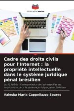 Cadre des droits civils pour l'Internet : la propriété intellectuelle dans le syst?me juridique pénal brésilien