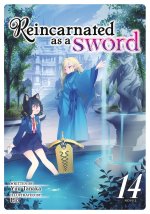 REINCARNATED AS A SWORD {LN} V14