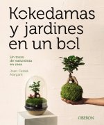 Kokedamas y jardines en un bol