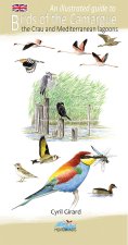 An illustrated guide to birds of the Camargue the crau and Mediterranean lagoons