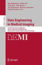 Data Engineering in Medical Imaging