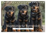 Majestätische Rottweiler: Ein Jahr voller Kraft und Loyalität (Tischkalender 2024 DIN A5 quer), CALVENDO Monatskalender