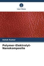 Polymer-Elektrolyt-Nanokomposite