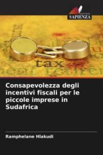 Consapevolezza degli incentivi fiscali per le piccole imprese in Sudafrica