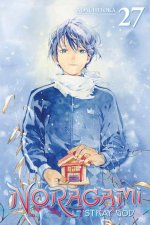NORAGAMI STRAY GOD V27