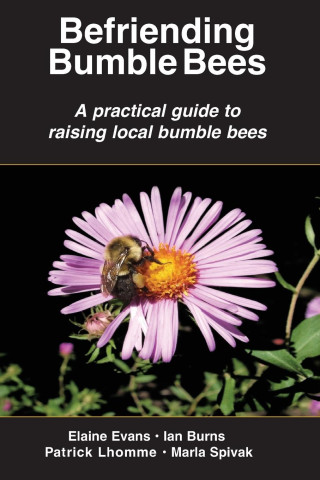 Befriending  Bumble Bees