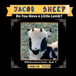 Jacob Sheep