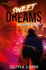 Sweet Dreams are made of Ruins 2