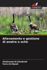 Allevamento e gestione di anatre e oche