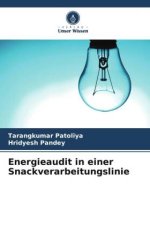 Energieaudit in einer Snackverarbeitungslinie