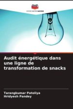 Audit énergétique dans une ligne de transformation de snacks