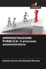 AMMINISTRAZIONE PUBBLICA: il processo amministrativo