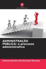 ADMINISTRAÇ?O PÚBLICA: o processo administrativo