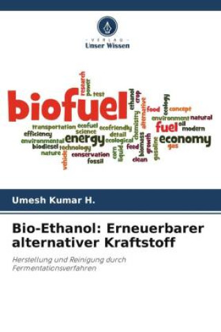 Bio-Ethanol: Erneuerbarer alternativer Kraftstoff
