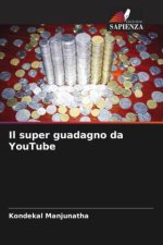 Il super guadagno da YouTube