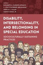Intersectional Approach to Working with Students with Disabilities