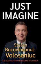 Stefan Voloseniuc - Just Imagine