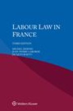 Labour Law In France