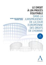 Le droit à un procès équitable dans la jurisprudence de la Cour européenne des droits de l'homme, 2e