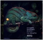Europäischer Naturfotograf des Jahres und Fritz Pölking Preis 2023