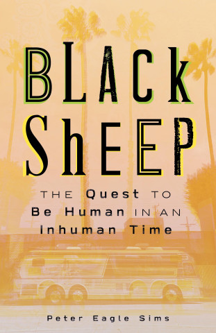 BLACK SHEEP