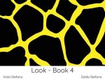 Look - Book 4: VI