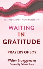 Waiting in Gratitude: Prayers for Joy