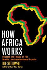 How Africa Works