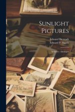 Sunlight Pictures: Amherst: Artotypes